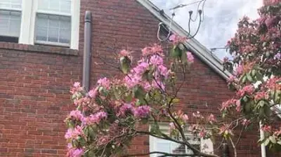 Air Inc. Heating & Air Conditioning Photo